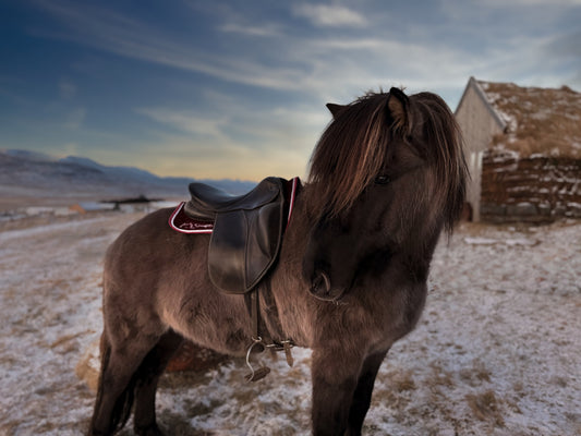 Saddle Pad - Sveifla