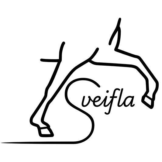 Gjafabréf - Sveifla